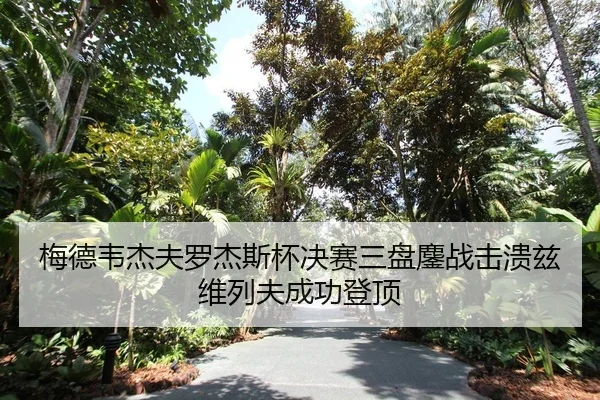mei-de-wei-jie-fu-luo-jie-si-bei-jue-sai-san-pan-ao-zhan-ji-kui-zi-wei-lie-fu-cheng-gong-deng-ding-2-690.jpg